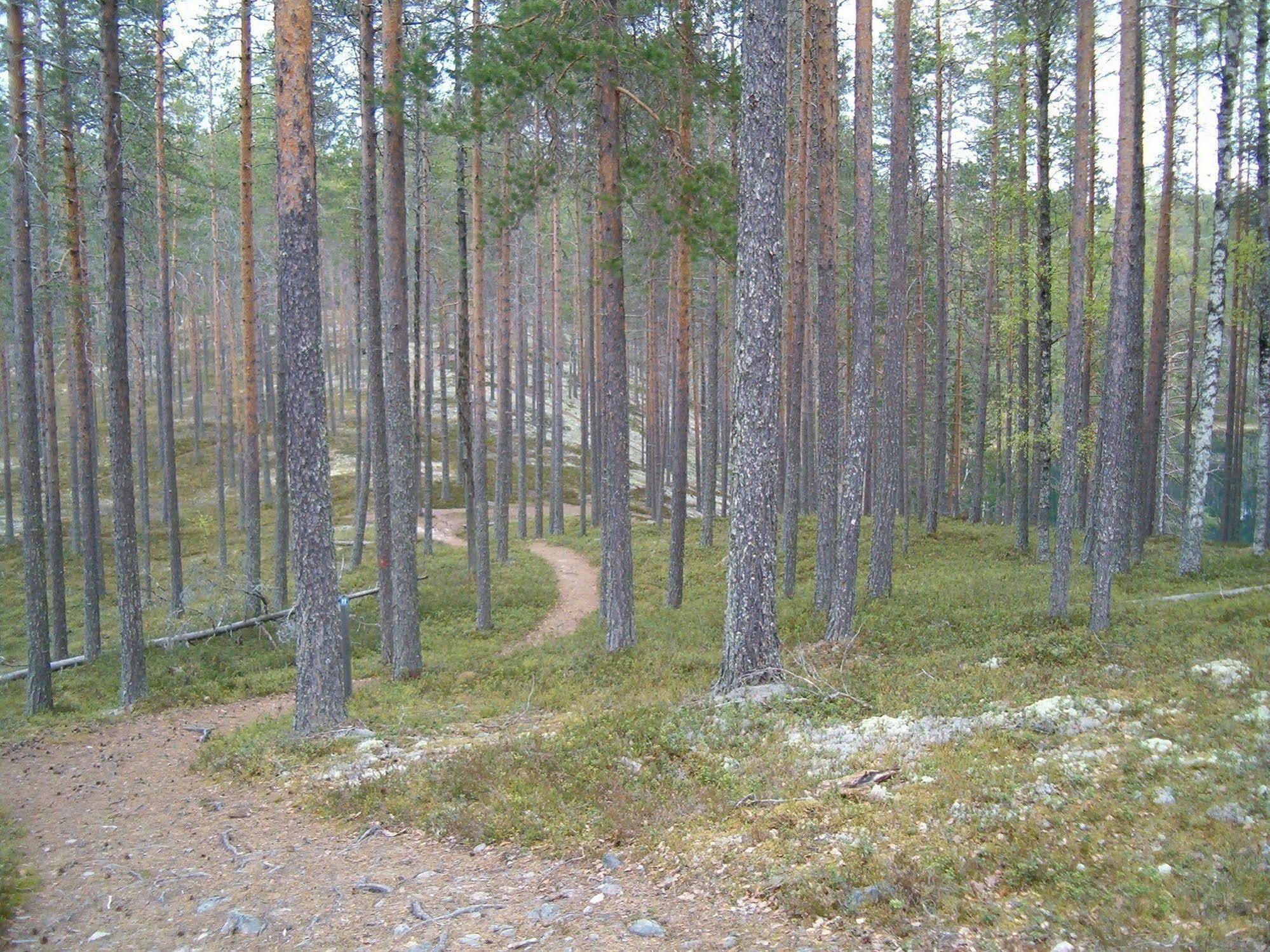 Manamansalo Camping Esterno foto
